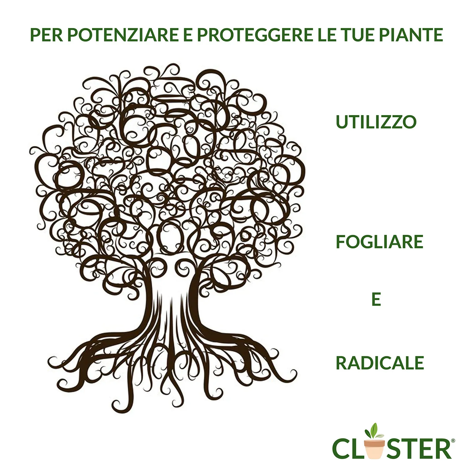 Closter Power Plants concime spray 500 ml rame e zolfo