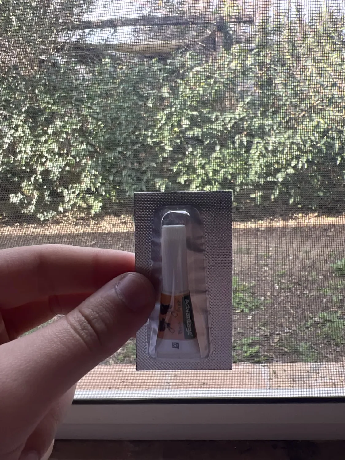 Elanco Advantage 40 mg spot-on gatti 4 pipette antipulci