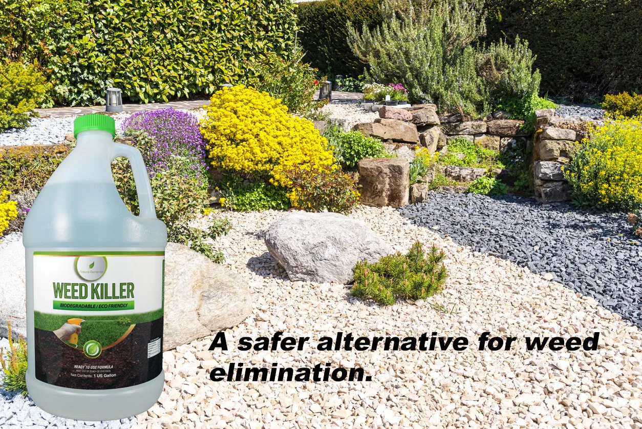 Natural Elements Weed Killer diserbante aceto 1 gallone