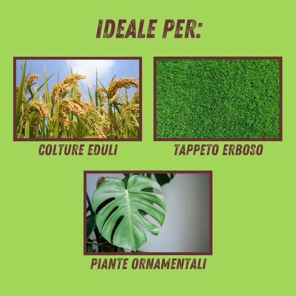 Vithal Bio zeolite + zolfo polvere 1 kg naturale