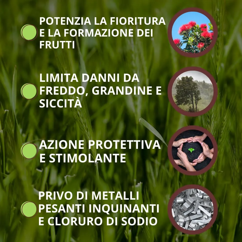Vithal Abyss biostimolante alghe 250 ml fioritura