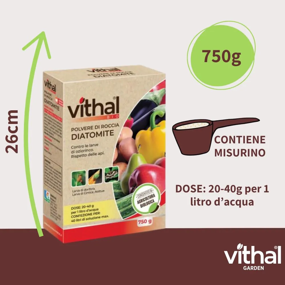 Vithal Bio Diatomite polvere roccia integratore 750 g bio