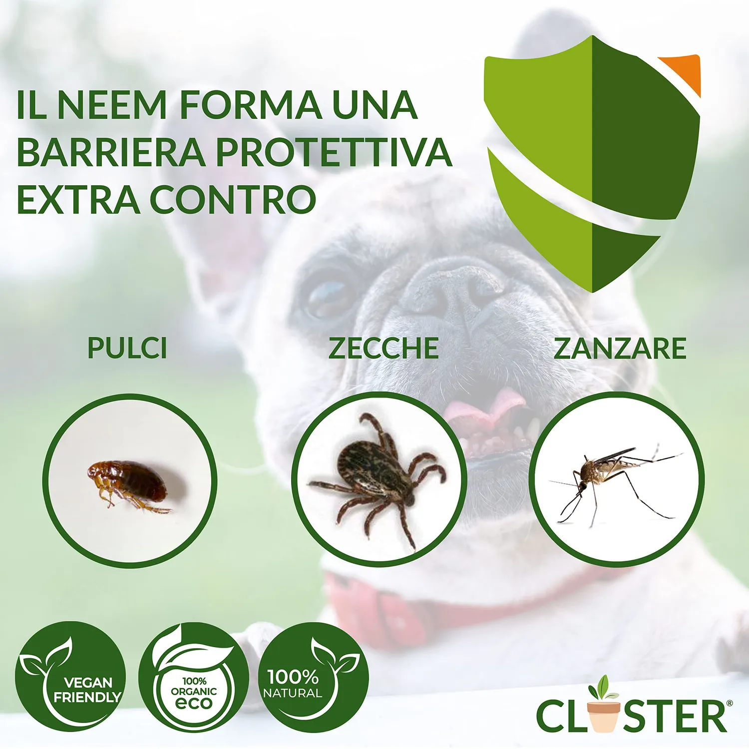 Closter Neem Pet Protection spray antiparassitario 500ml cani gatti