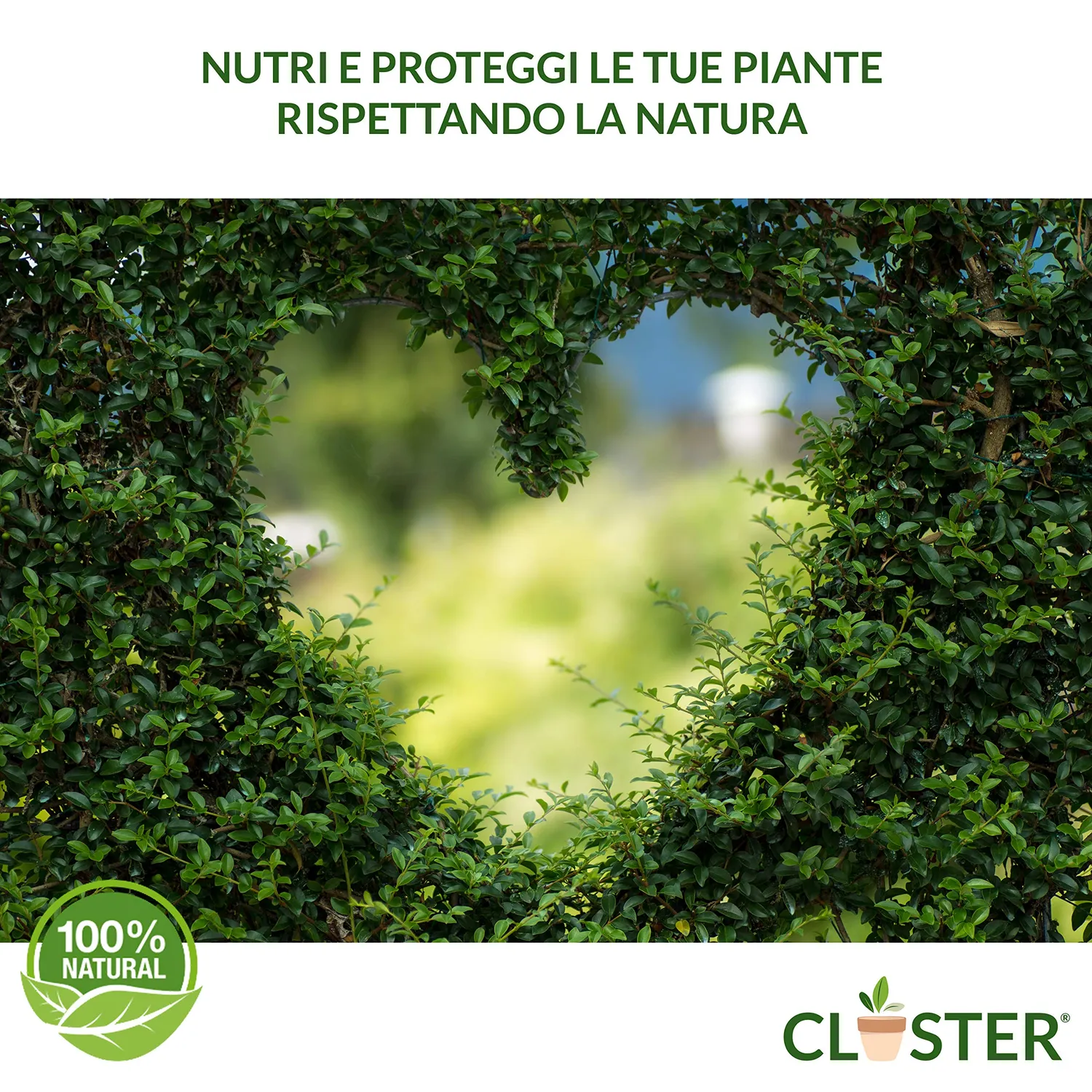 Closter Neem Polvere concime naturale 500 g organico azotato