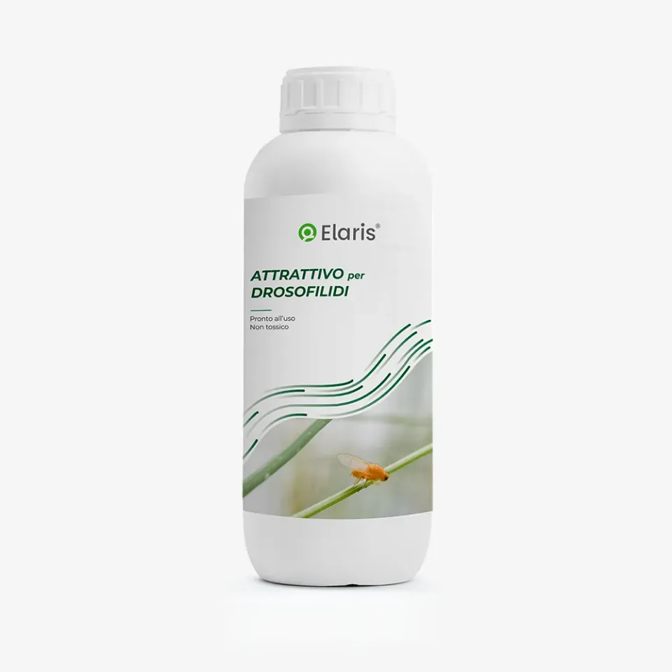 Cyperfum Drosofilidi Liquido per Trappole Moscerini Non Tossico