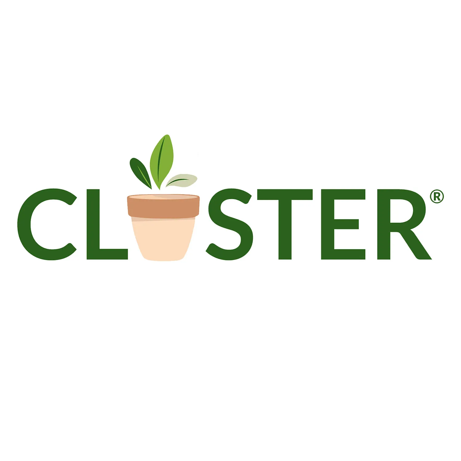 Closter Power Plants concime spray 500 ml rame e zolfo