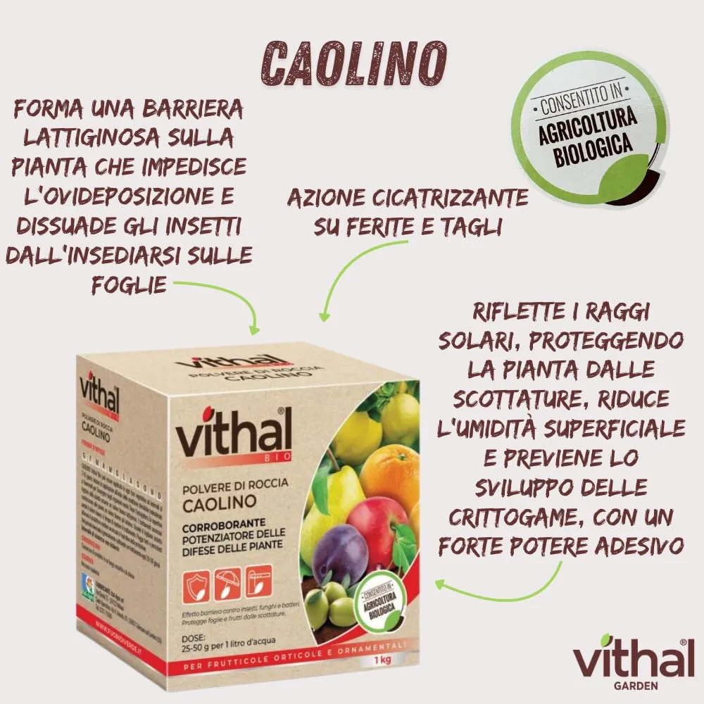 Vithal Biolid UP Caolino Polvere di Roccia 1kg Bio