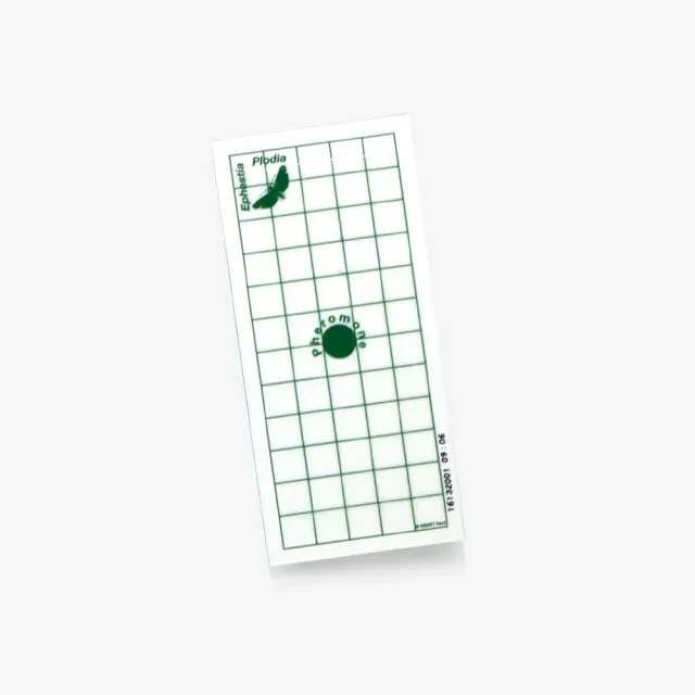Cyperfum Geo Pad Food Green trappola tignole con feromone