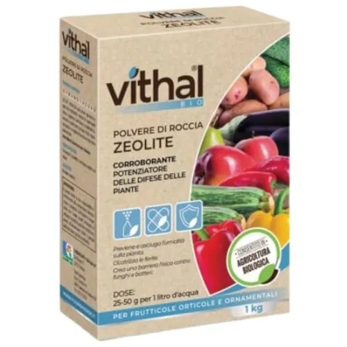 Vithal Zeolite polvere di roccia corroborante 1 kg bio