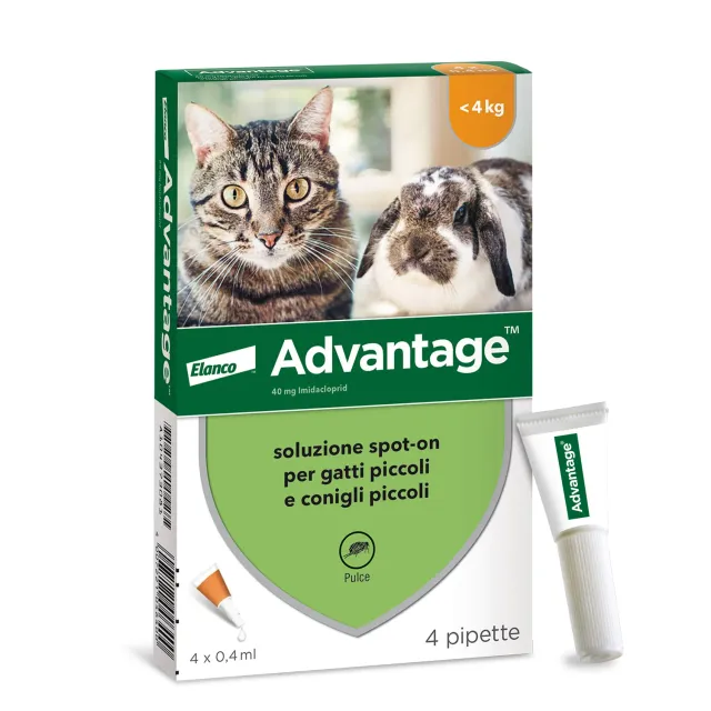 Elanco Advantage 40 mg spot-on gatti 4 pipette antipulci