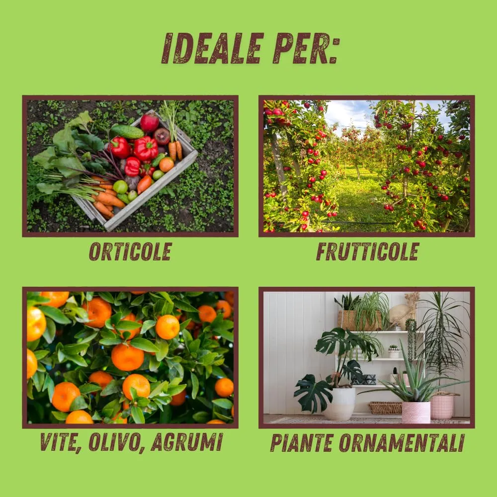 Vithal Biolid UP Caolino Polvere di Roccia 1kg Bio