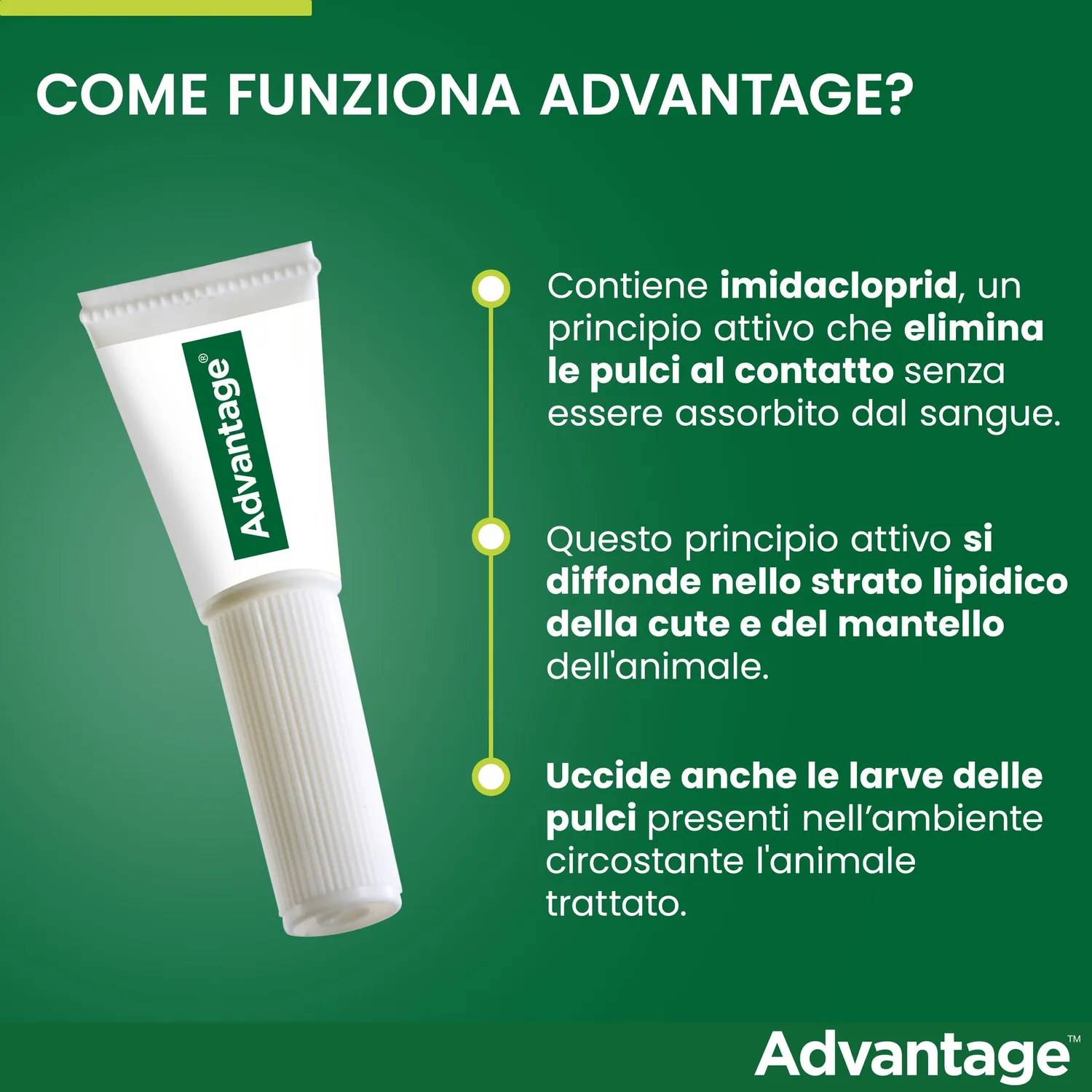 Elanco Advantage 40 mg spot-on gatti 4 pipette antipulci