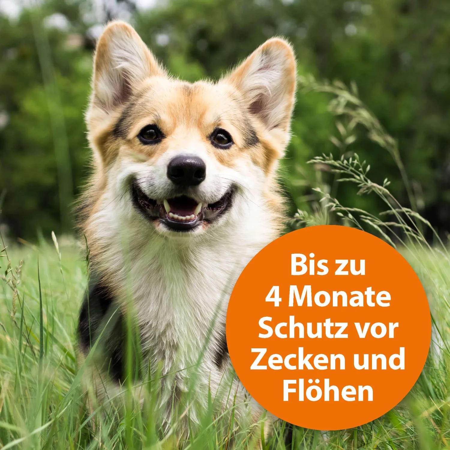ARDAP Zecken- und Flohhalsband collare cani medi 10-25 kg