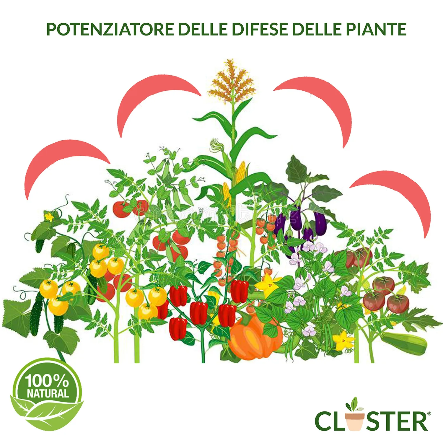 Closter Protection Spray Piante 500 ml Oidio