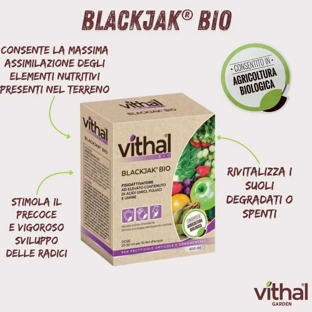 Vithal Blackjak fisioattivatore naturale 500 ml bio