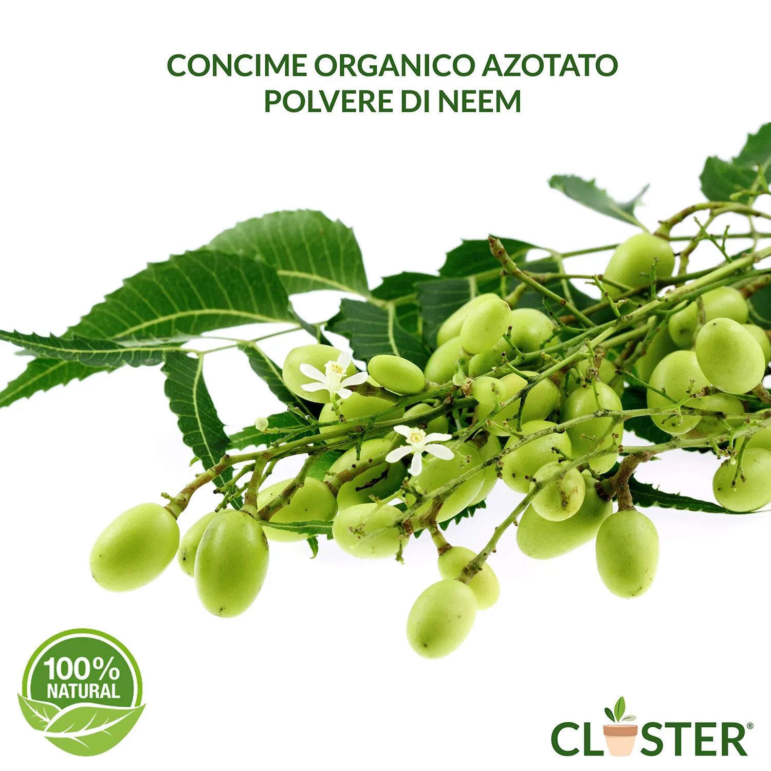 Closter Neem Polvere concime naturale 500 g organico azotato