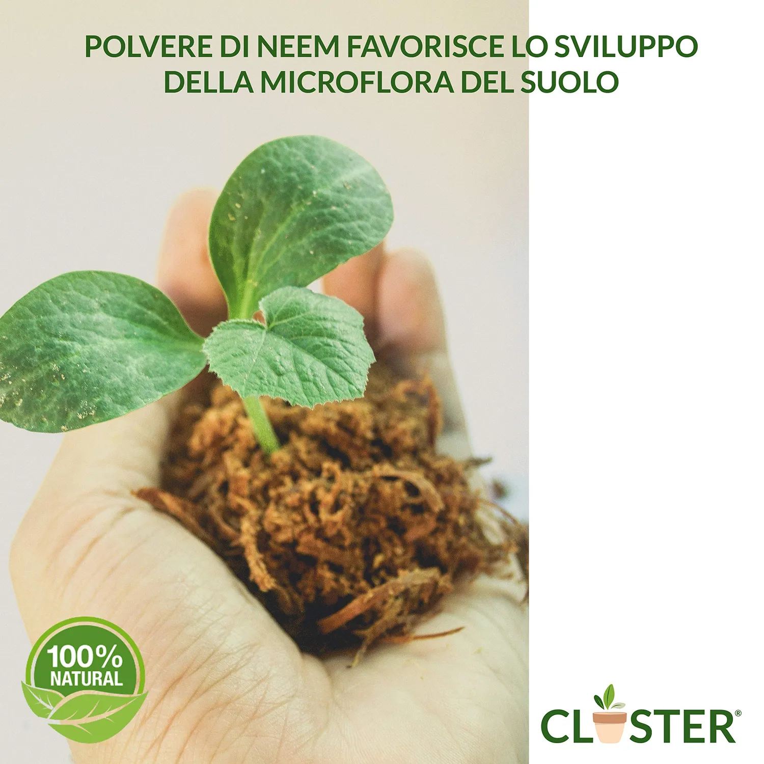Closter Neem Polvere concime naturale 500 g organico azotato