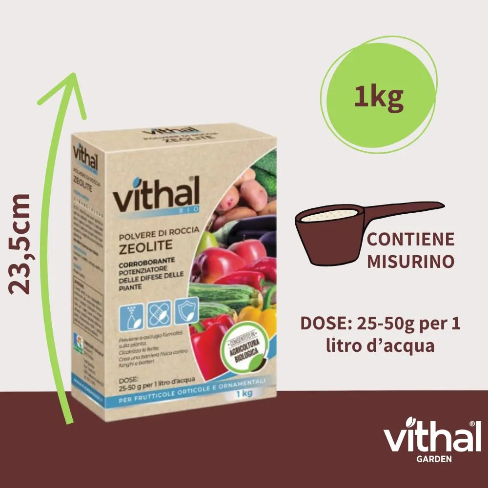 Vithal Zeolite polvere di roccia corroborante 1 kg bio