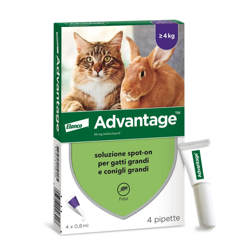 Elanco Advantage Spot-On Gatti Grandi 4 Pipette