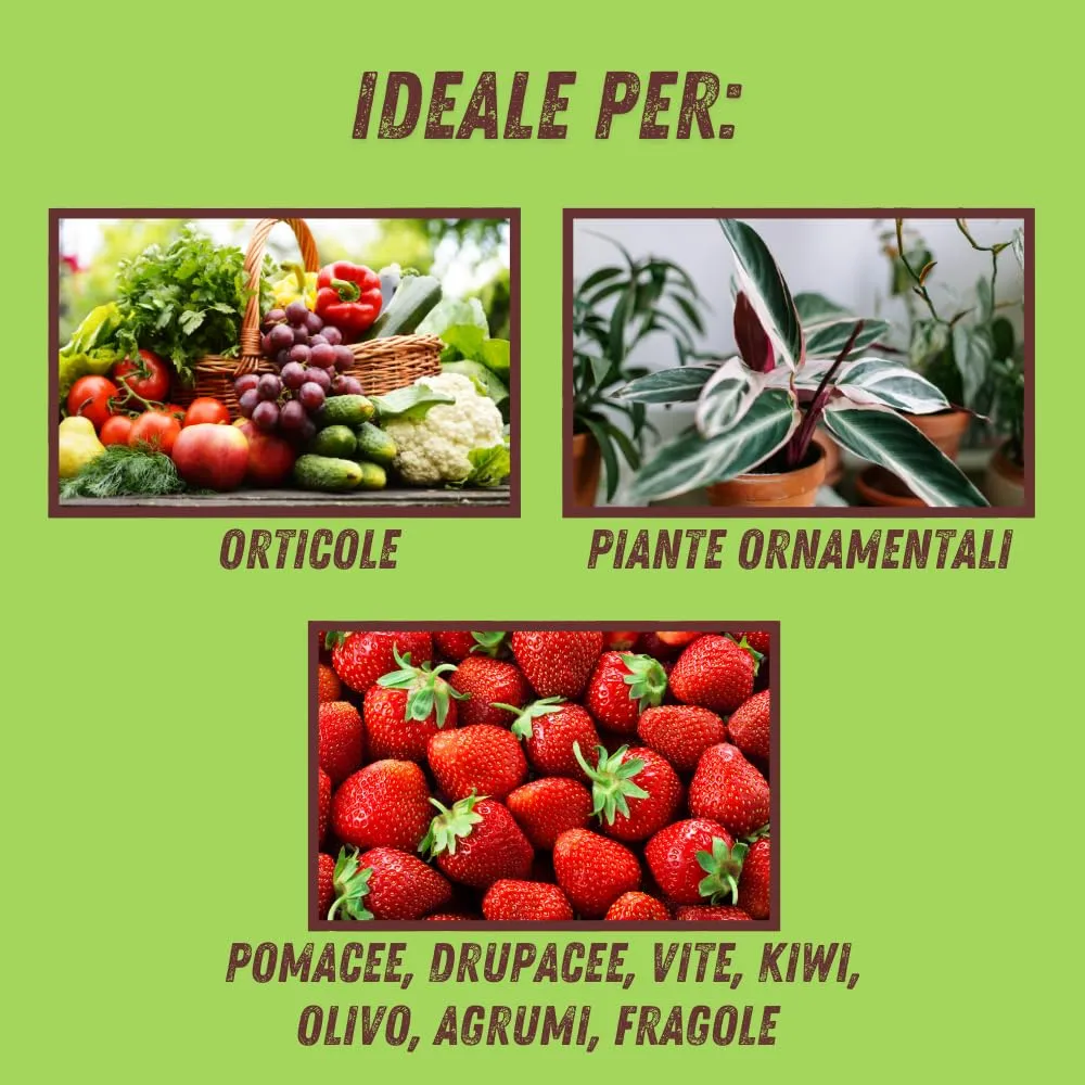 Vithal Biolid UP Propoli Estratto 250ml per Piante