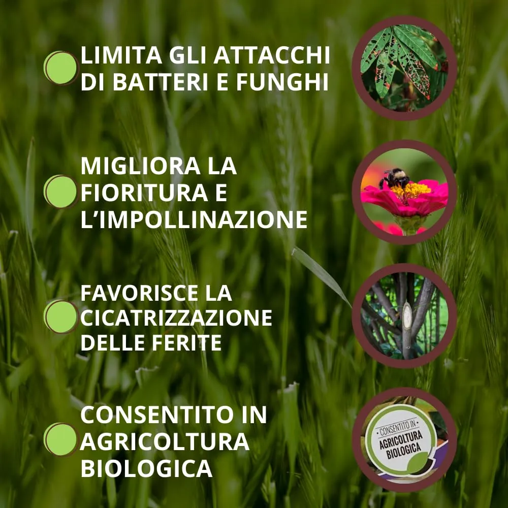 Vithal Biolid UP Propoli Estratto 250ml per Piante