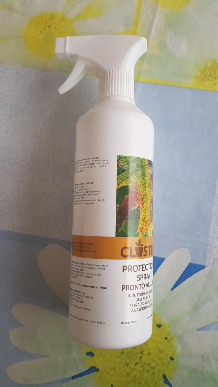 Closter Protection Spray Piante 500 ml Oidio