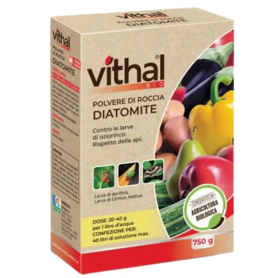 Vithal Bio Diatomite polvere roccia integratore 750 g bio