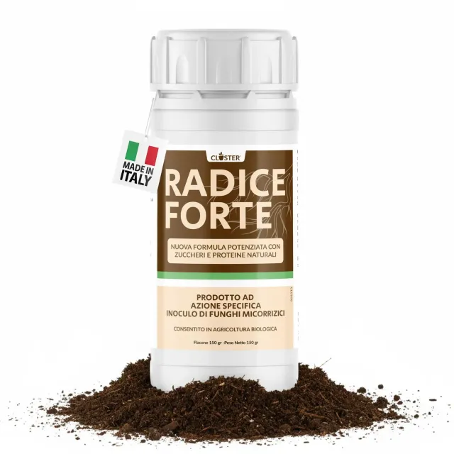 Closter Radice Forte concime radicante 150 gr con micorrize