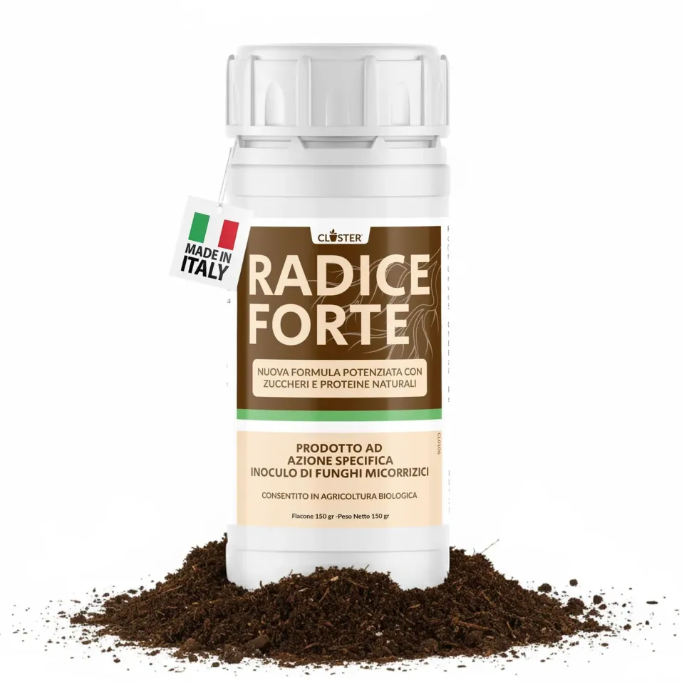 Closter Radice Forte concime radicante 150 gr con micorrize