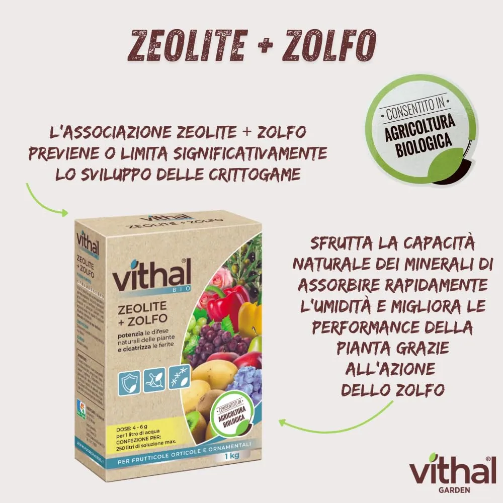 Vithal Bio zeolite + zolfo polvere 1 kg naturale