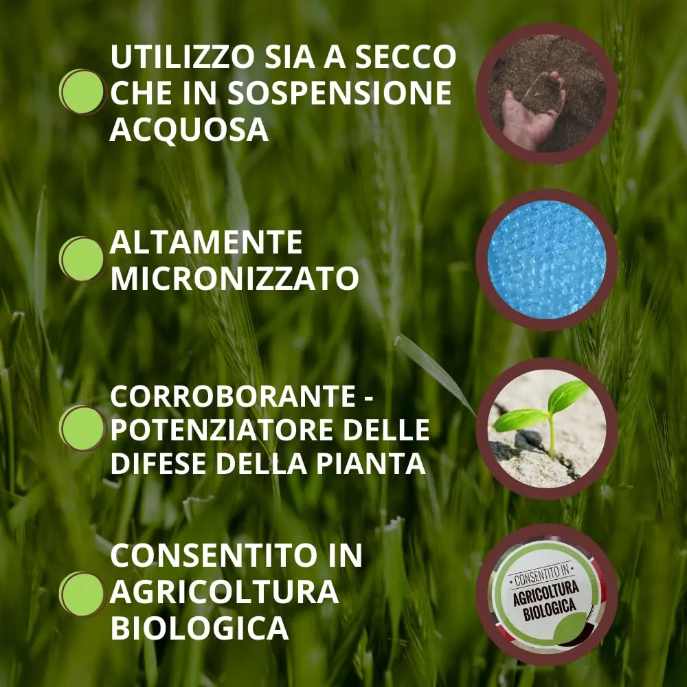 Vithal Bio Diatomite polvere roccia integratore 750 g bio