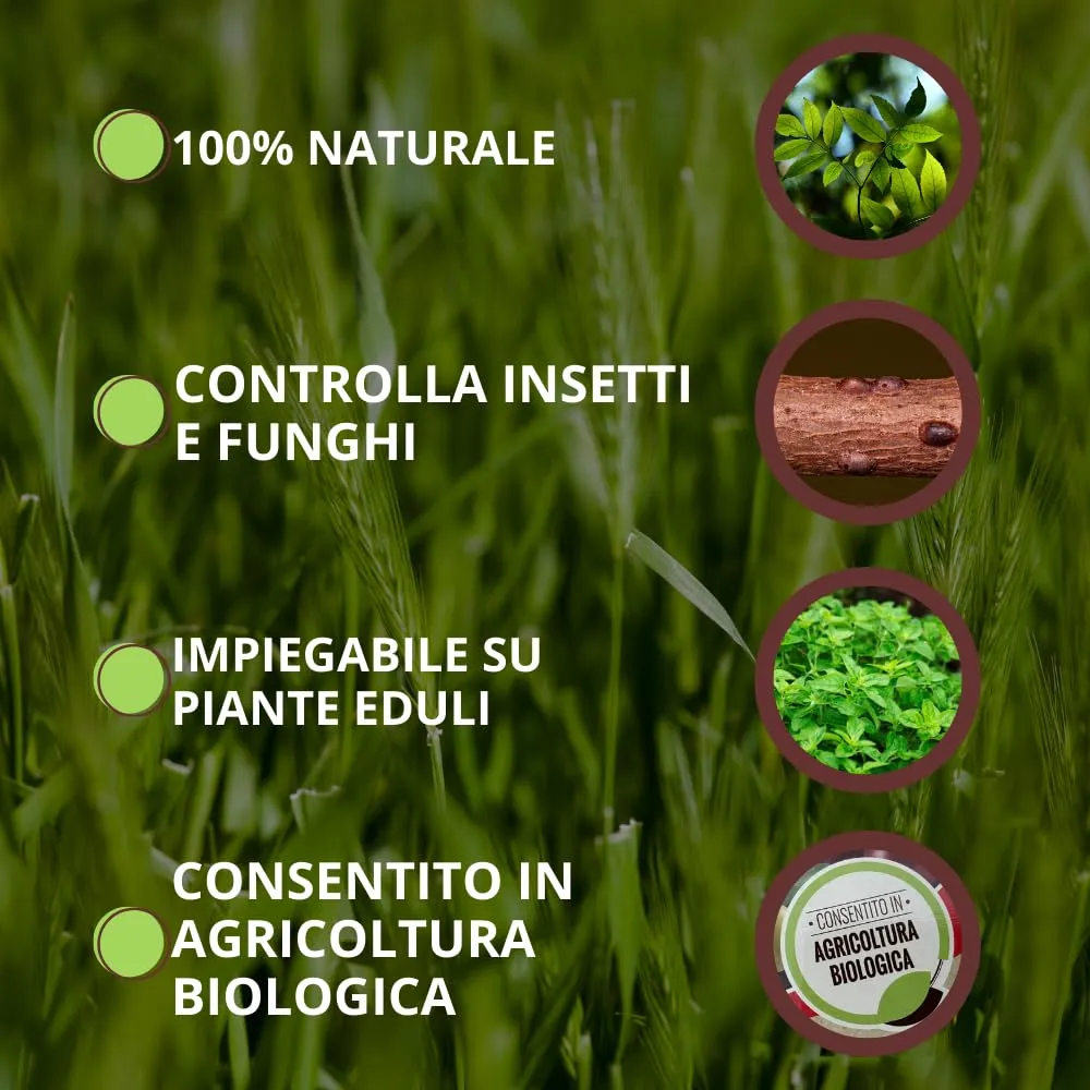 Vithal Biolid UP Protezione Totale spray 500ml equiseto