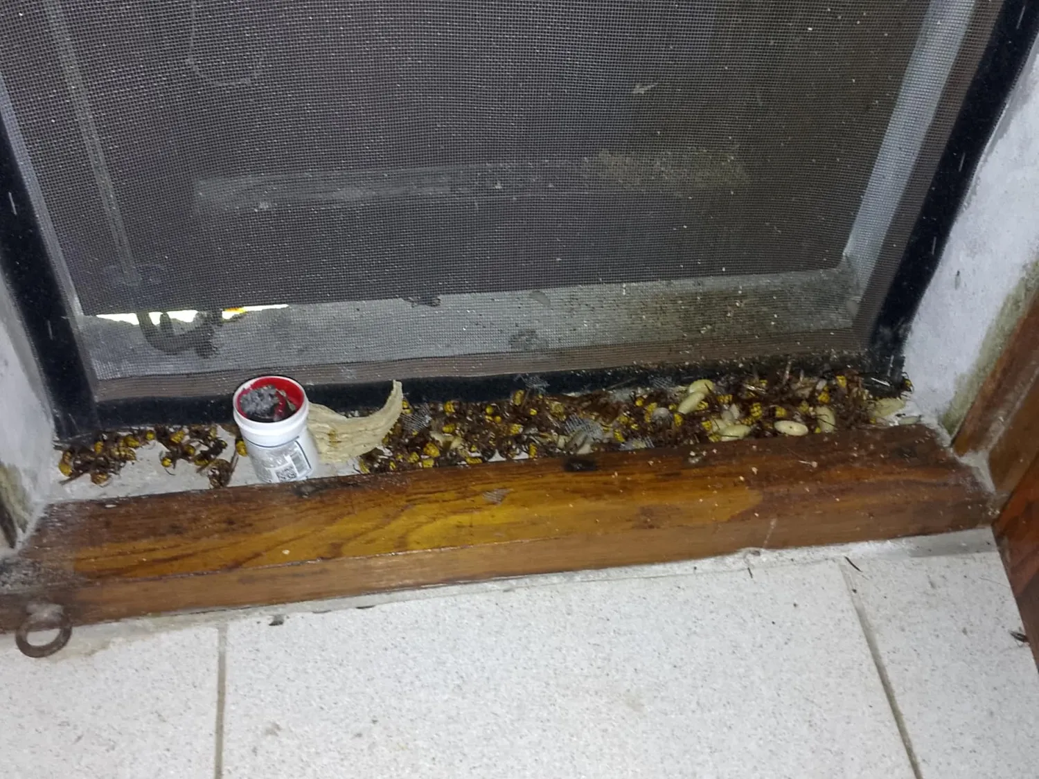 Vebi Duracid Fumogeno Insetticida 11 g Ampio Spettro