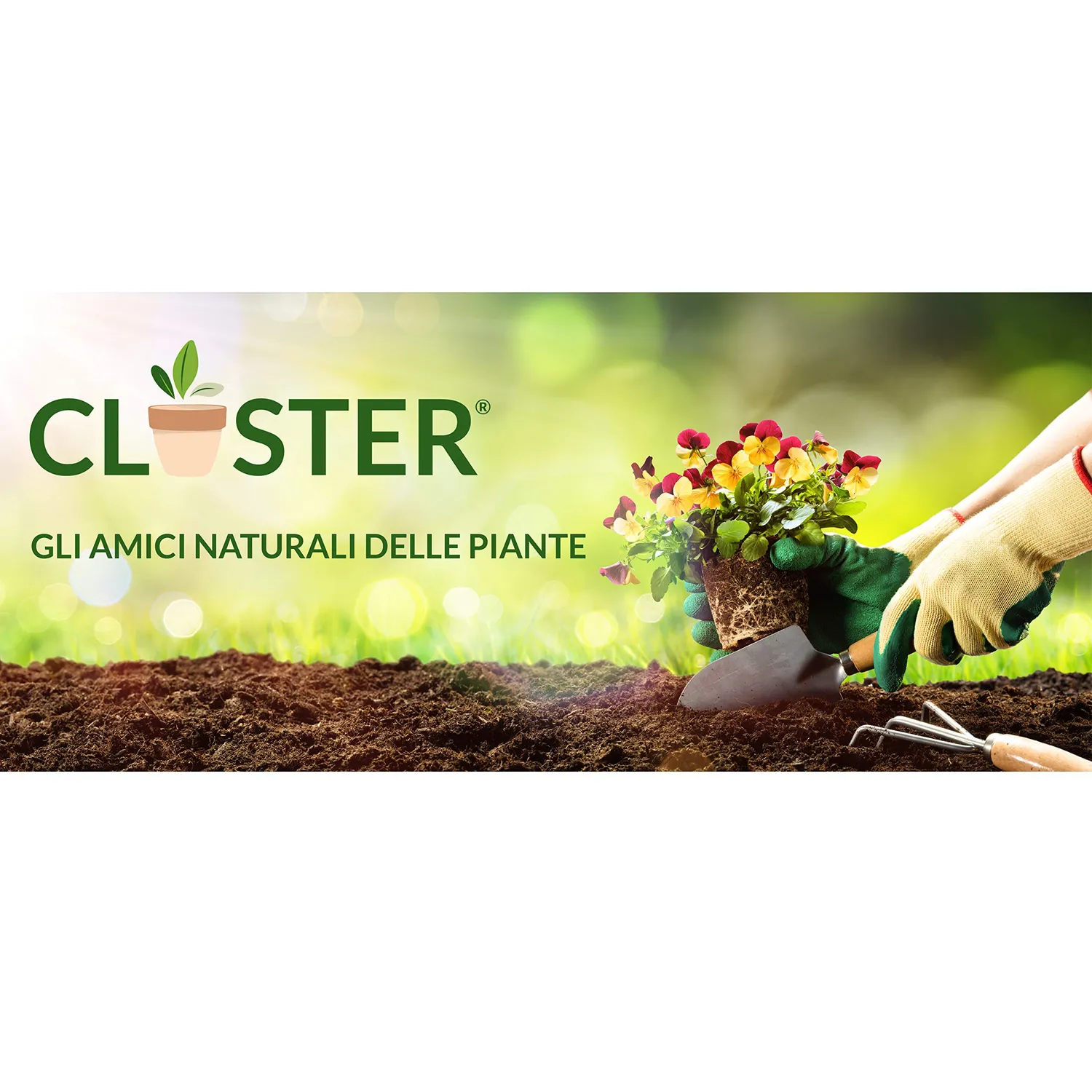 Closter Power Plants concime spray 500 ml rame e zolfo