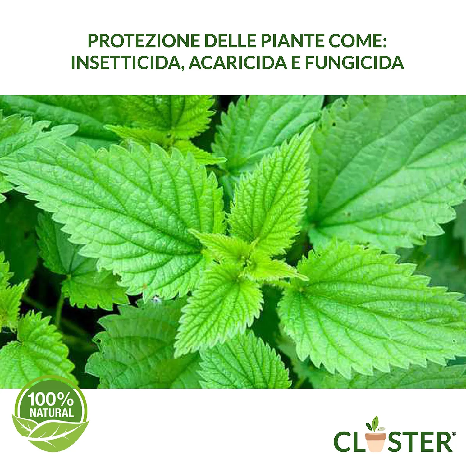 Closter Macerato di Ortica Fertilizzante 1 L Ferro Zinco