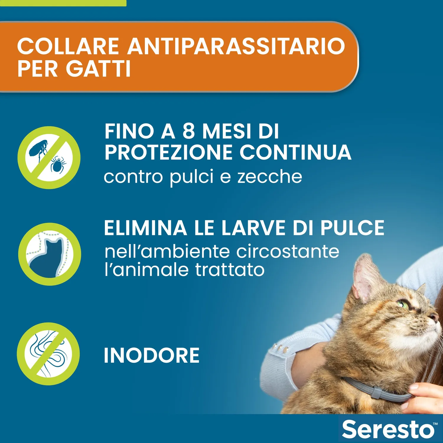 Elanco Seresto collare antiparassitario gatto 8 mesi grigio