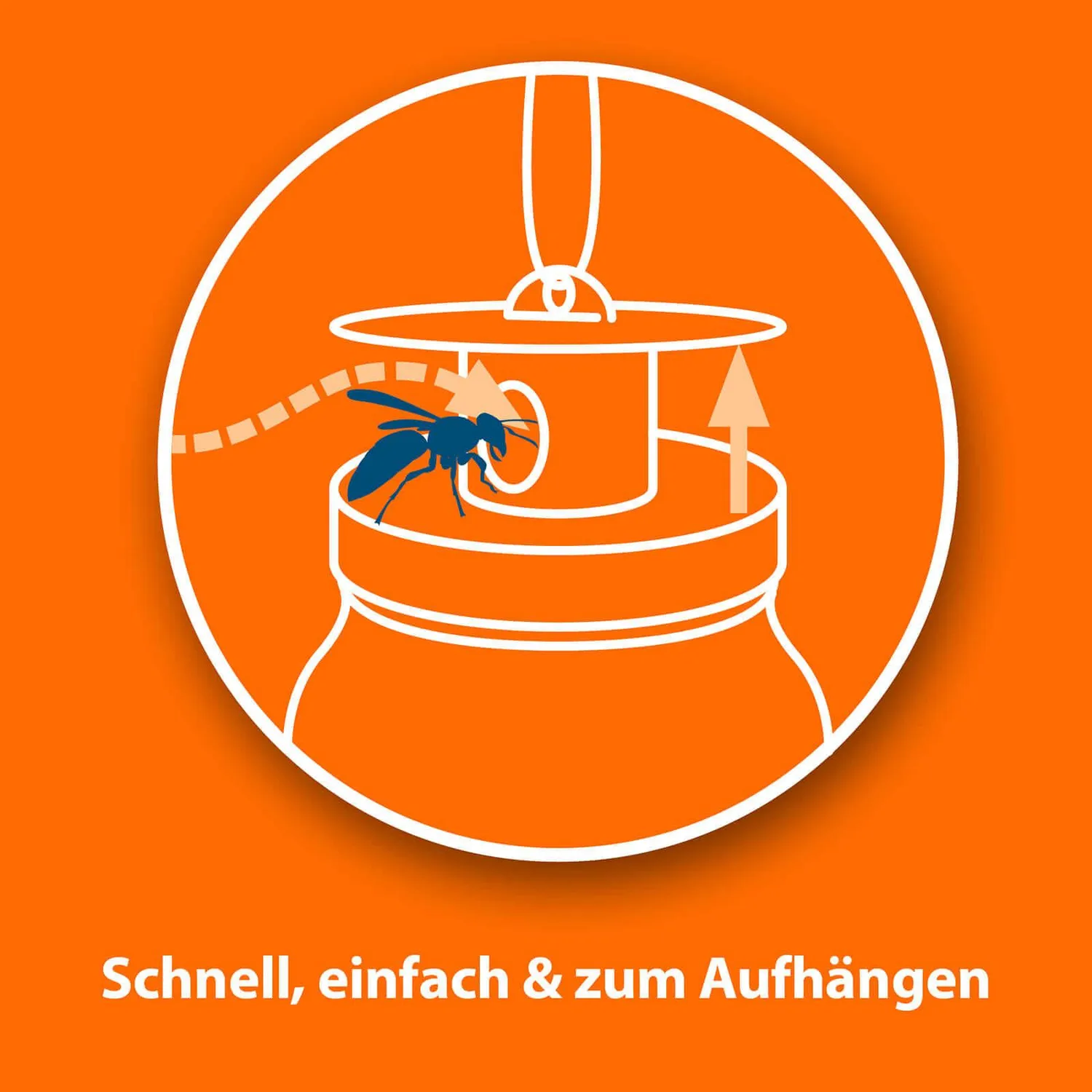 ARDAP Anti-Wespen-Set kit antivespe esterni giardino