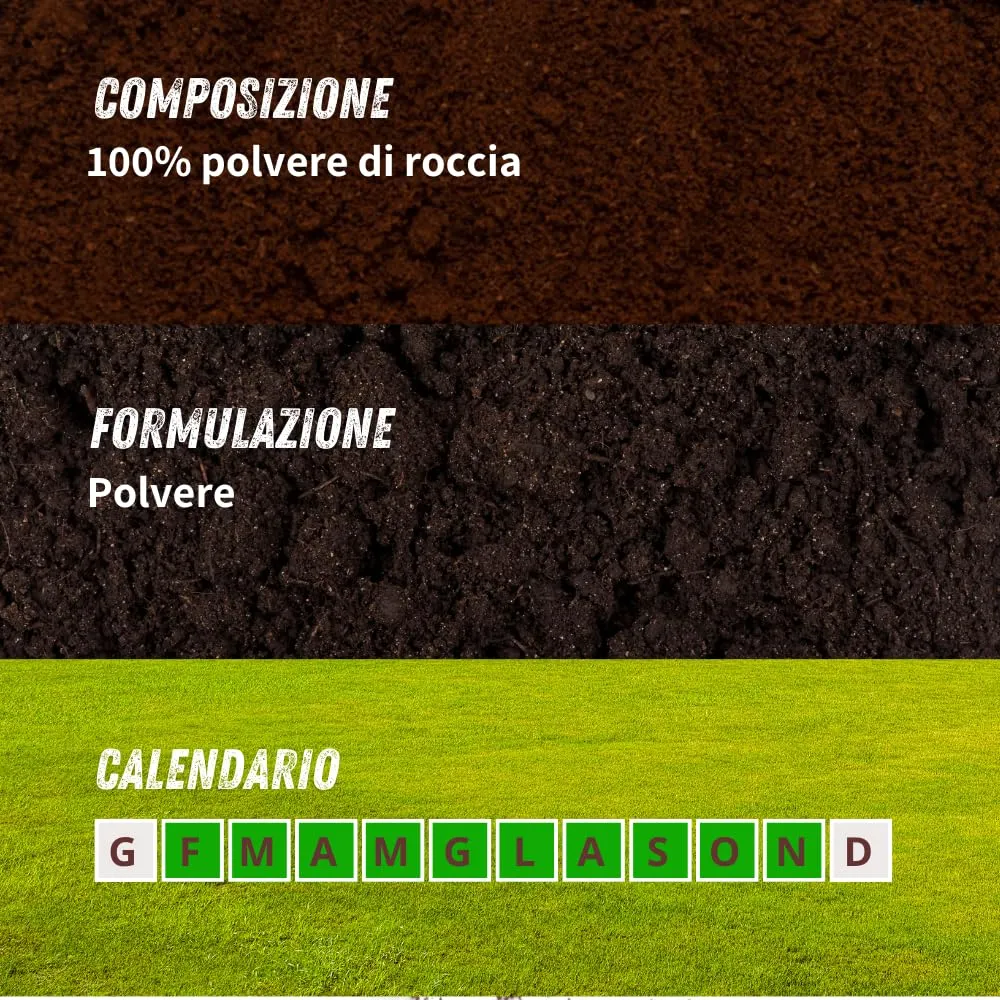 Vithal Bio Diatomite polvere roccia integratore 750 g bio