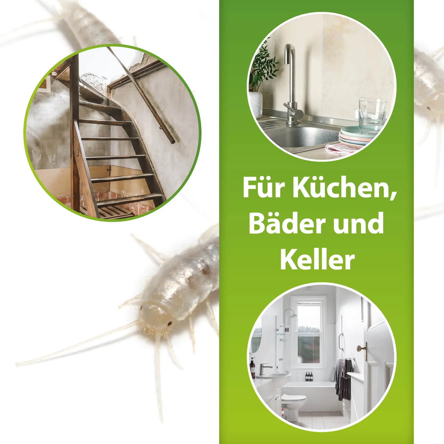 ARDAP Repell Zerstäuber spray pesciolini 500 ml bagno