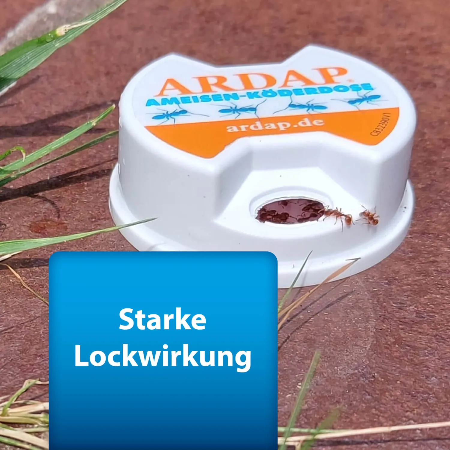 ARDAP Anti-Ameisen-Set kit antiformiche casa e giardino