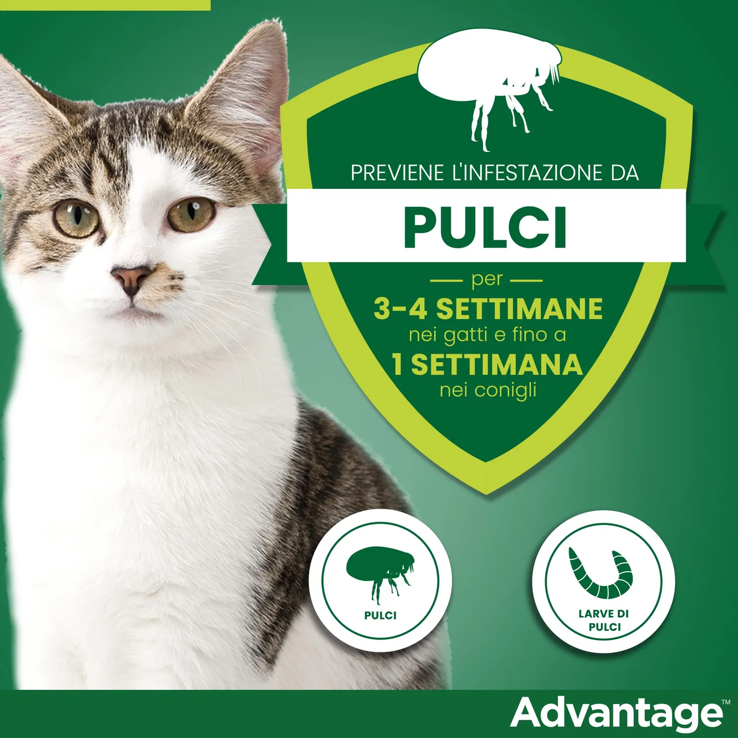 Elanco Advantage 40 mg spot-on gatti 4 pipette antipulci