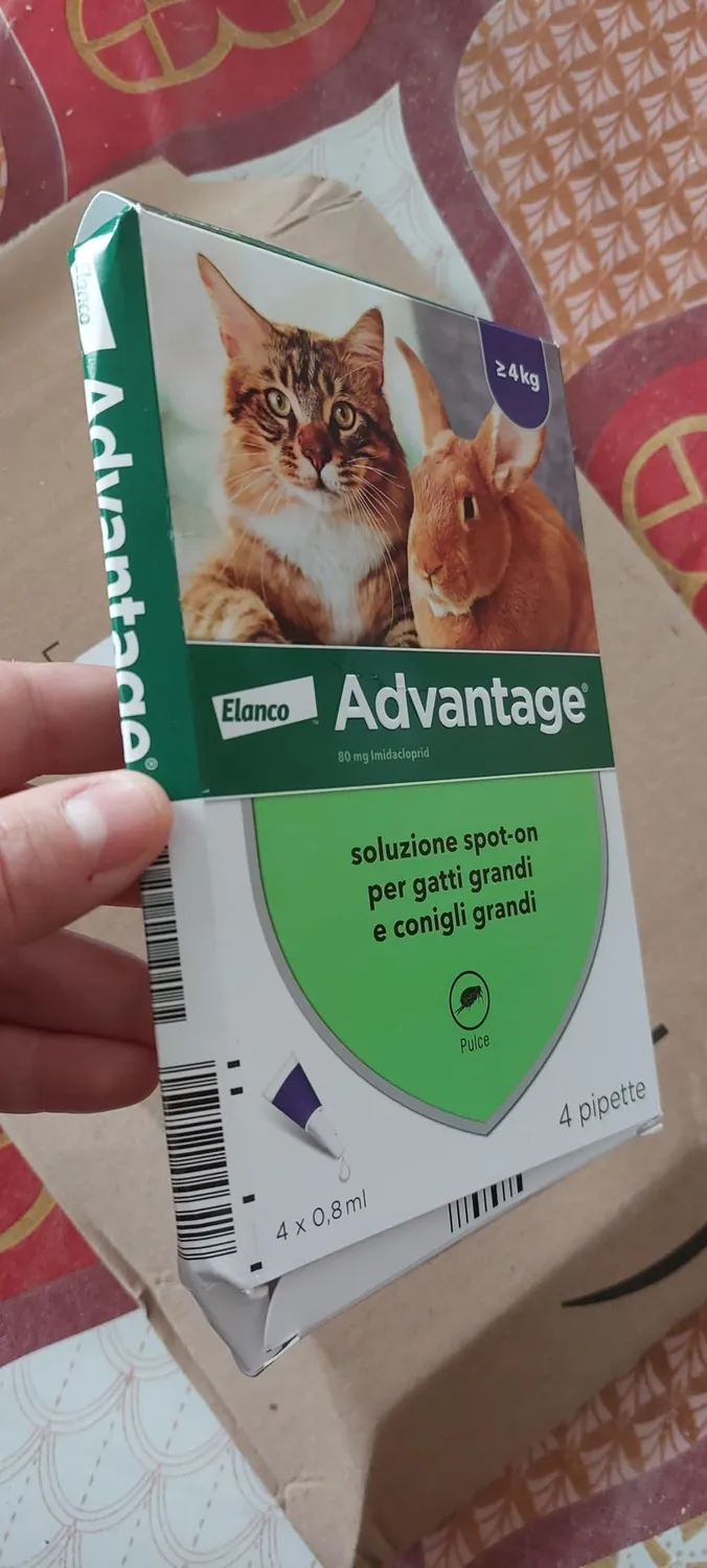 Elanco Advantage Spot-On Gatti Grandi 4 Pipette