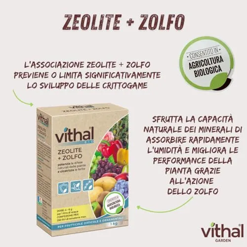 Vithal Bio zeolite + zolfo polvere 1 kg naturale