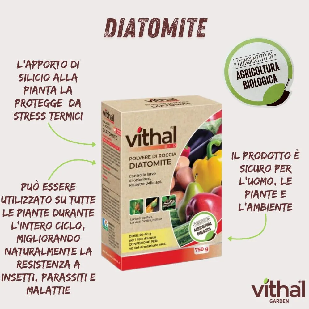 Vithal Bio Diatomite polvere roccia integratore 750 g bio