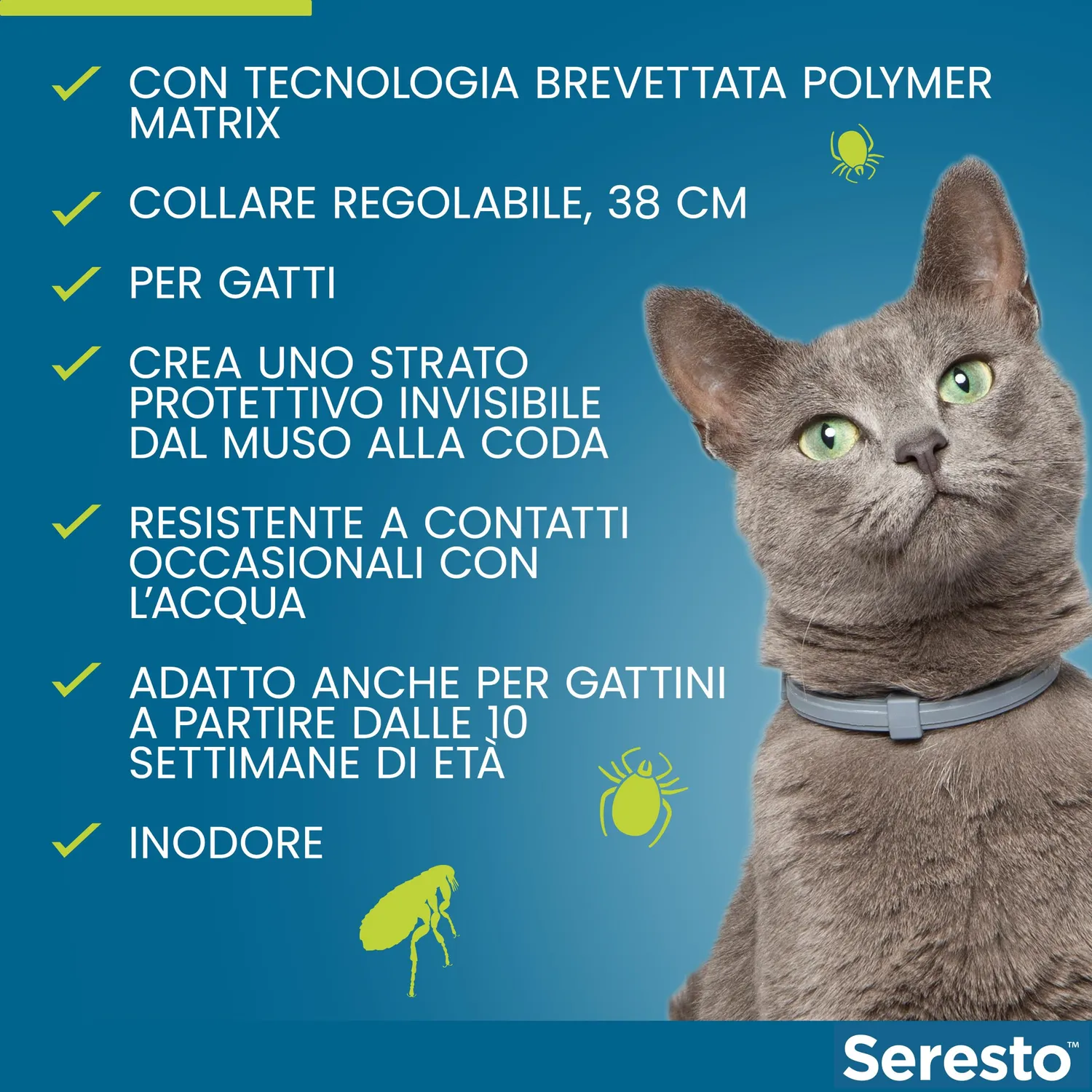 Elanco Seresto collare antiparassitario gatto 8 mesi grigio