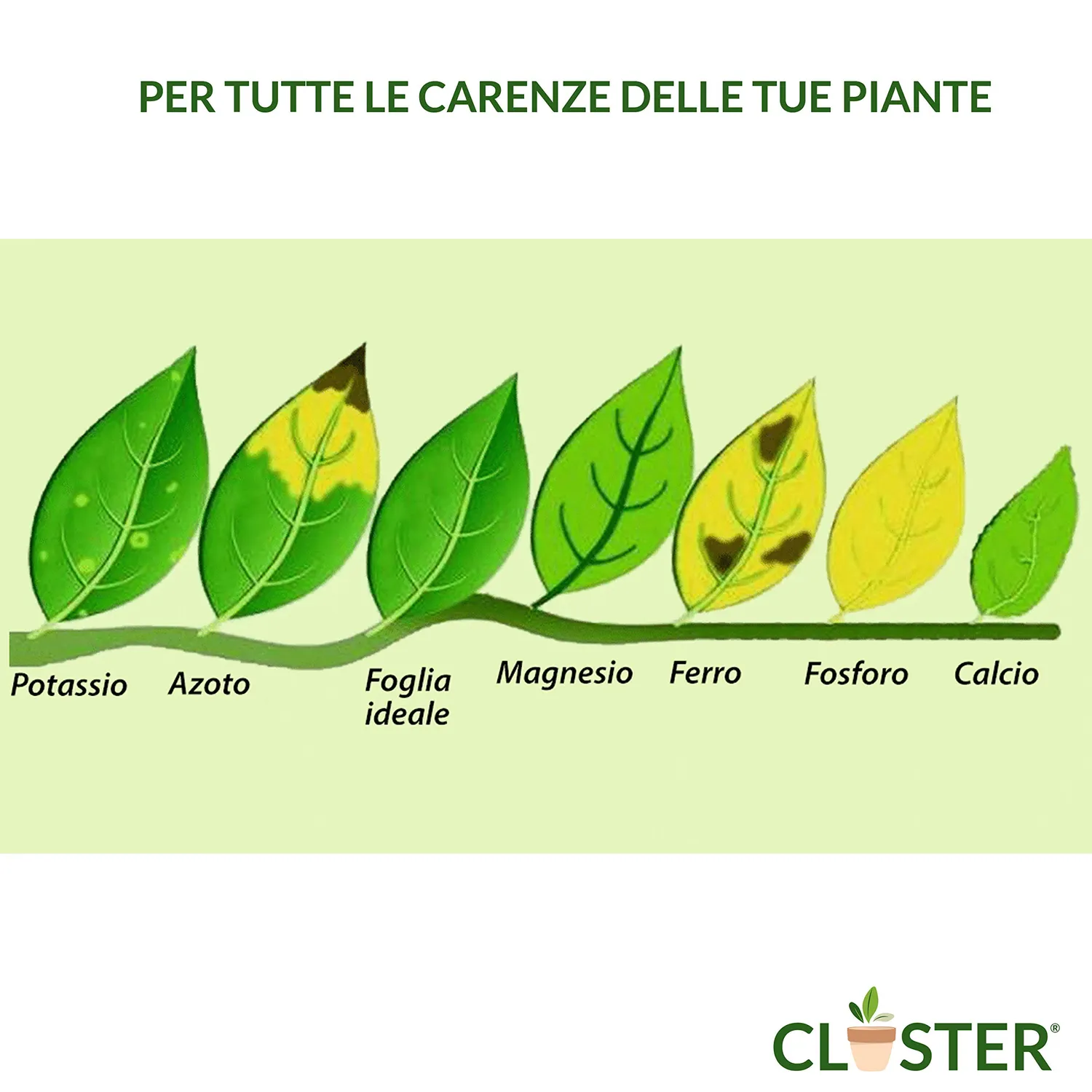 Closter Microelementi Concime Liquido 250 ml al Ferro