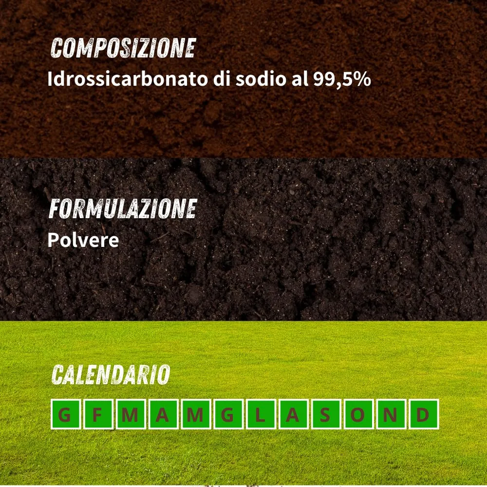 Vithal fungicida piante polvere 350 g bicarbonato
