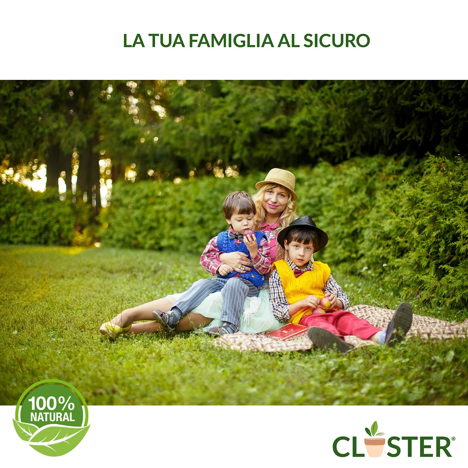 Closter Olio di Lino Spray Piante 500 ml Cocciniglia