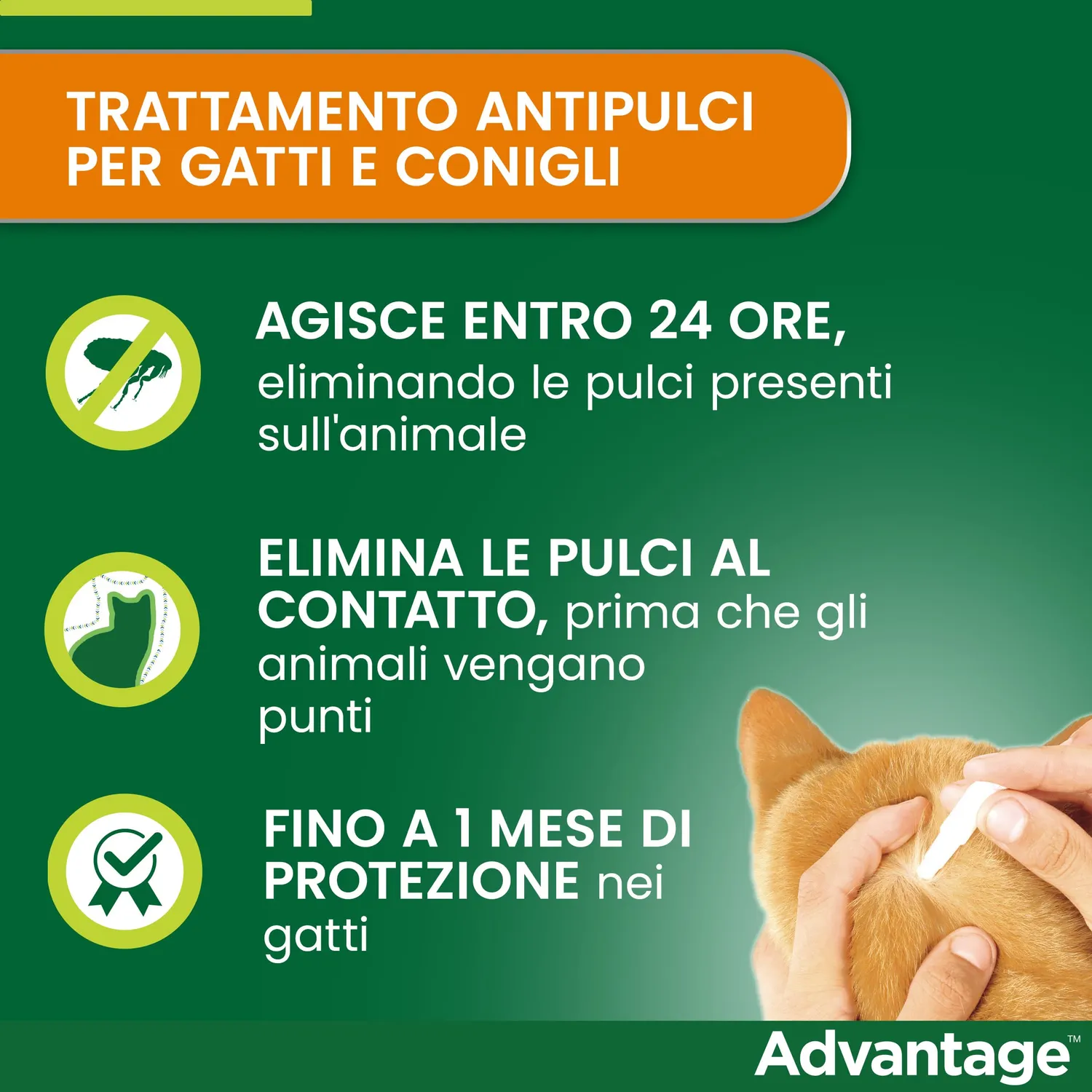 Elanco Advantage 40 mg spot-on gatti 4 pipette antipulci
