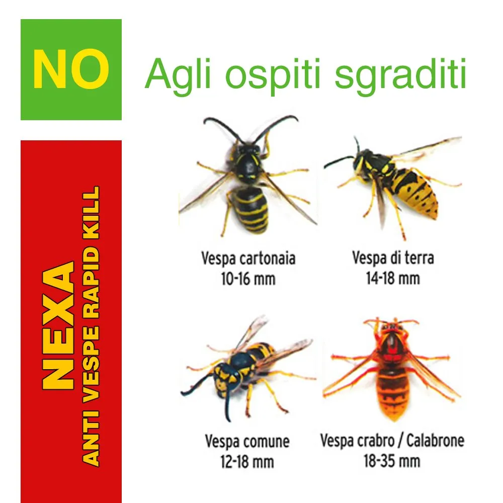 Nexa Rapid Kill spray insetticida volanti abbattente 4 metri